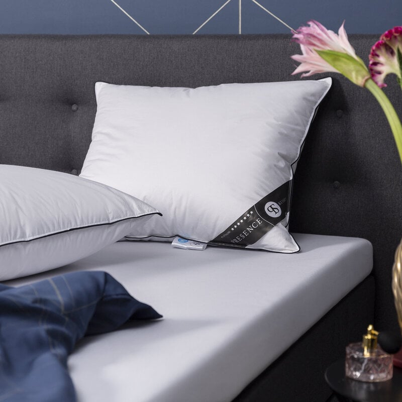 Dekbed Discounter Hoofdkussen Dons - 100% Ganzendons