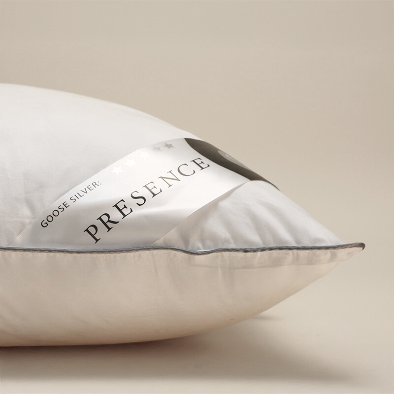 Dekbed Discounter Hoofdkussen Dons - 65% Ganzendons