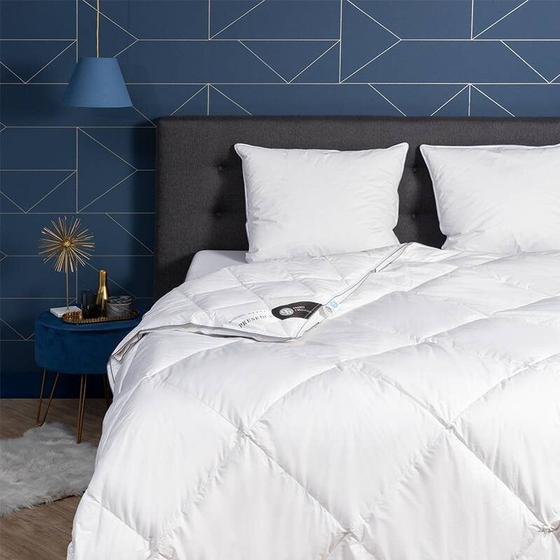 Dekbed Discounter Dekbed Dons - 65% Ganzendons - 4 Seizoenen