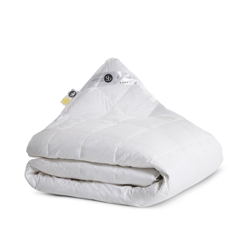 dekbed discounter Dekbed Dons - 80% ganzenveren - 4 Seizoenen