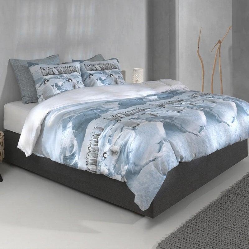 Dekbed Discounter Dekbedovertrek Katoen-Flanel - Pinguini
