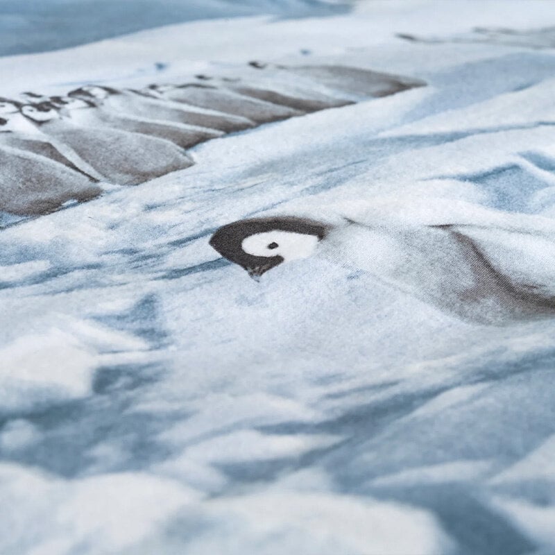 Dekbed Discounter Dekbedovertrek Katoen-Flanel - Pinguini