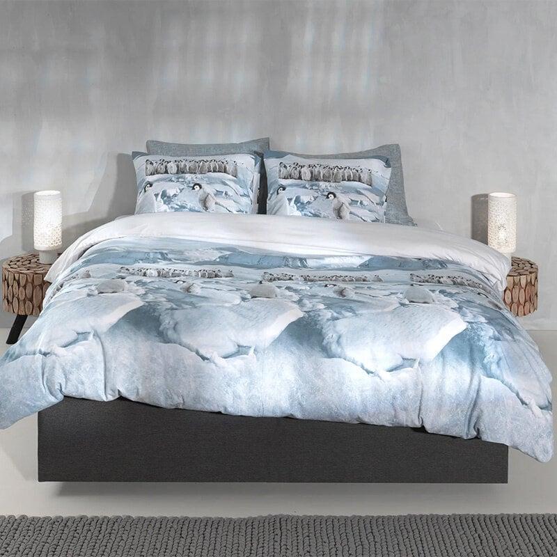 Dekbed Discounter Dekbedovertrek Katoen-Flanel - Pinguini