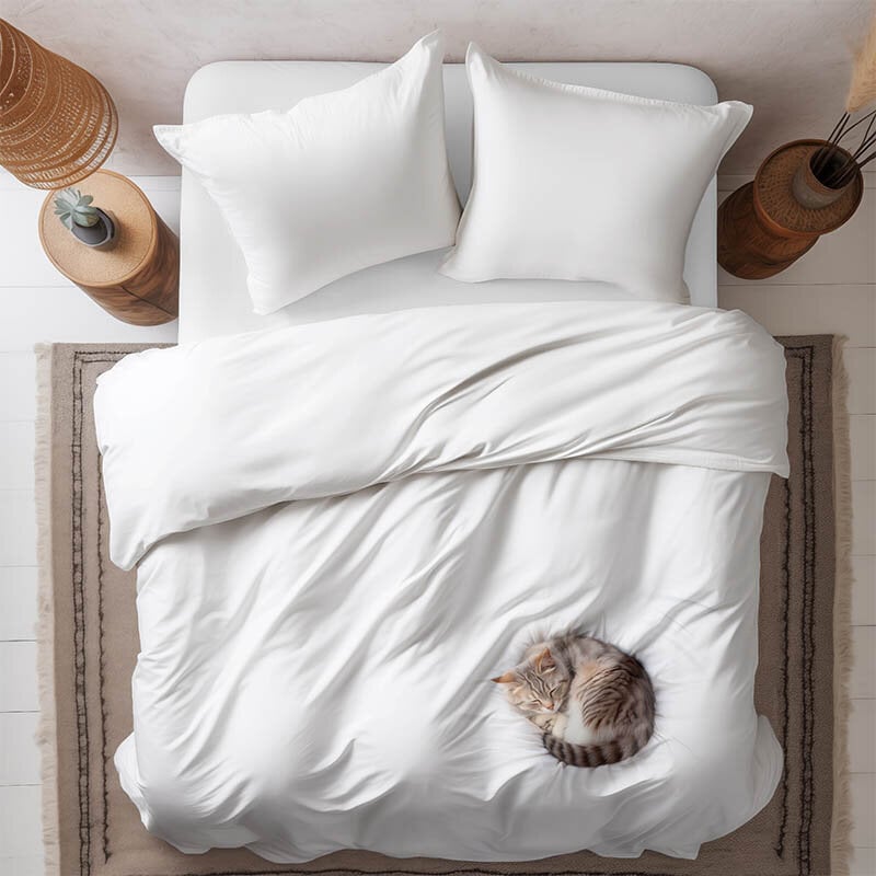 dekbed discounter Dekbedovertrek Katoen-Satijn - Mr. Whiskers