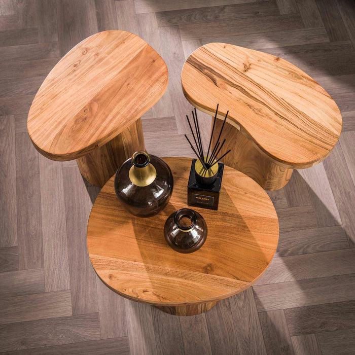 Dimehouse Ronde Salontafel Set Van 3 Adam Robuust Acaciahout