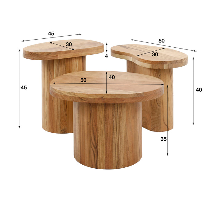 Dimehouse Ronde Salontafel Set Van 3 Adam Robuust Acaciahout
