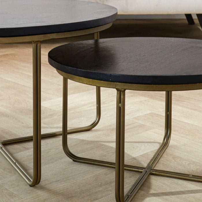 Dimehouse Salontafel Set Van 2 Lori Rond Mangohout Met Messing Frame