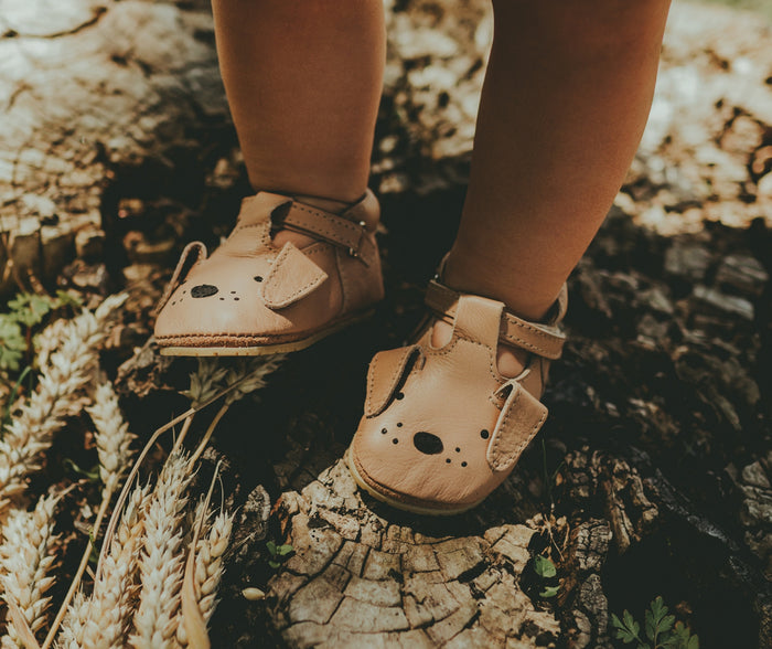 Donsje Spark Classic Shoes | Dog | Truffle Nubuck