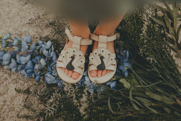 Donsje Zuza Sandals | Peacock | Ivory Leather