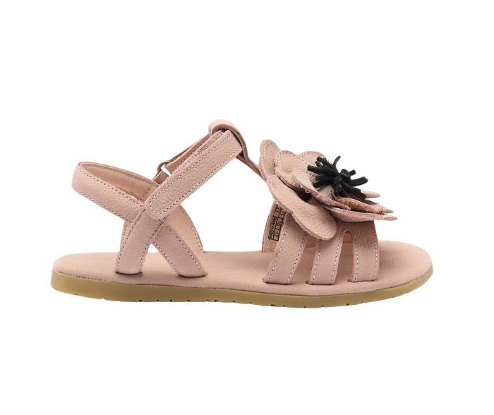 Donsje Iles Fields Sandals | Anemone | Coral Betting Leather