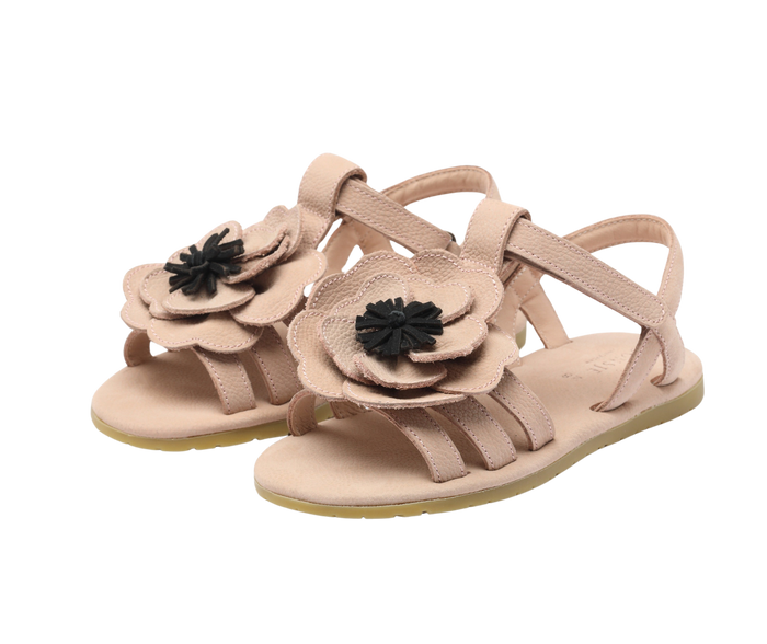 donsje Iles Fields Sandals | Anemone | Coral Betting Leather