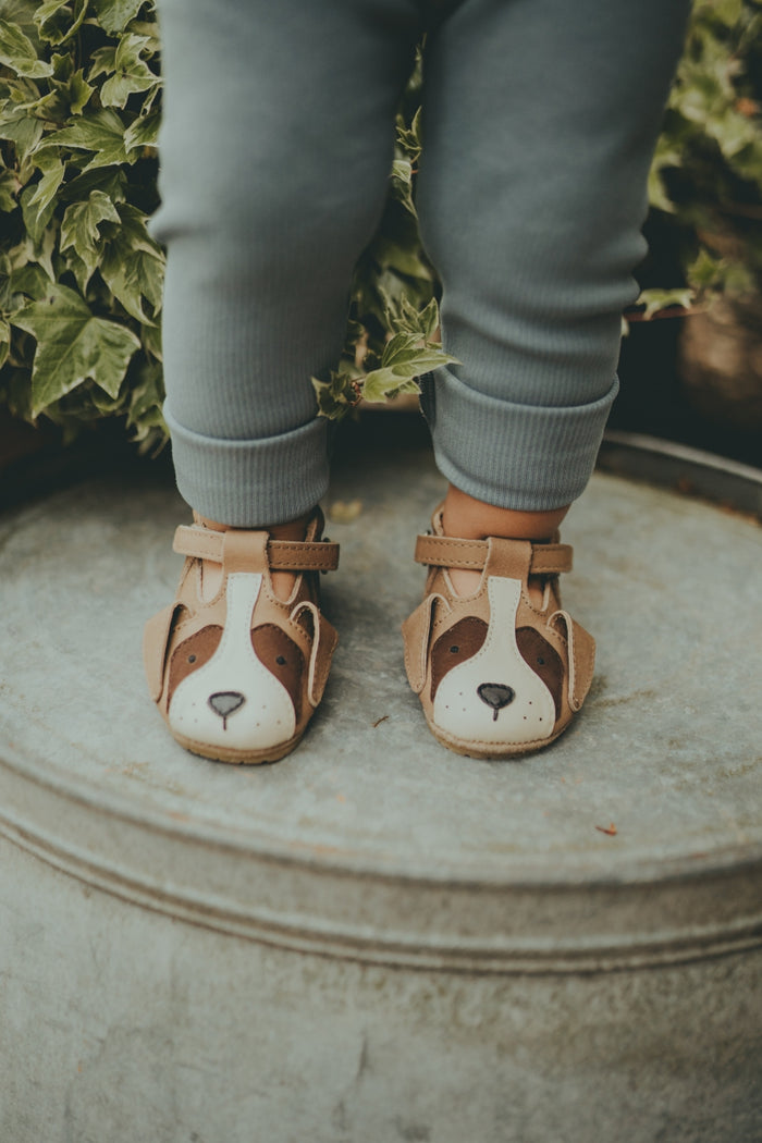 Donsje Spark Special Shoes | Saint Bernard | Truffle Nubuck