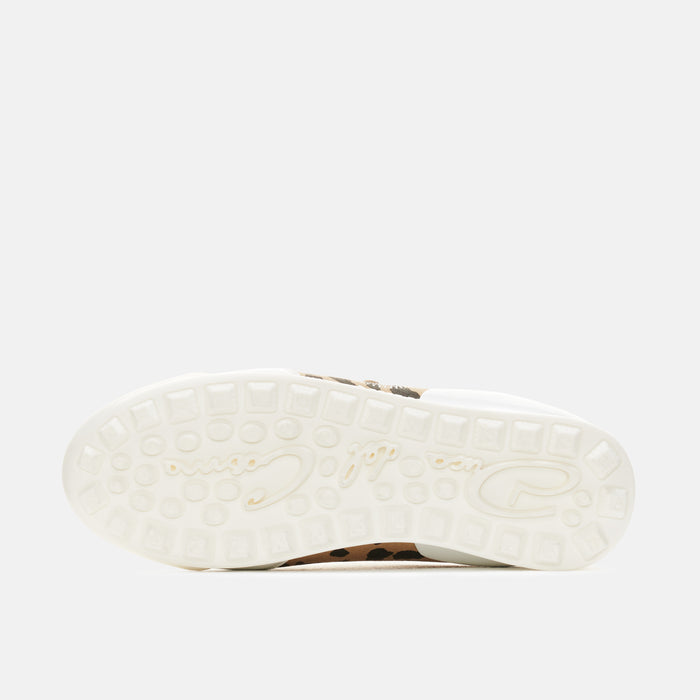 Duca Del Cosma King Cheetah - Lente