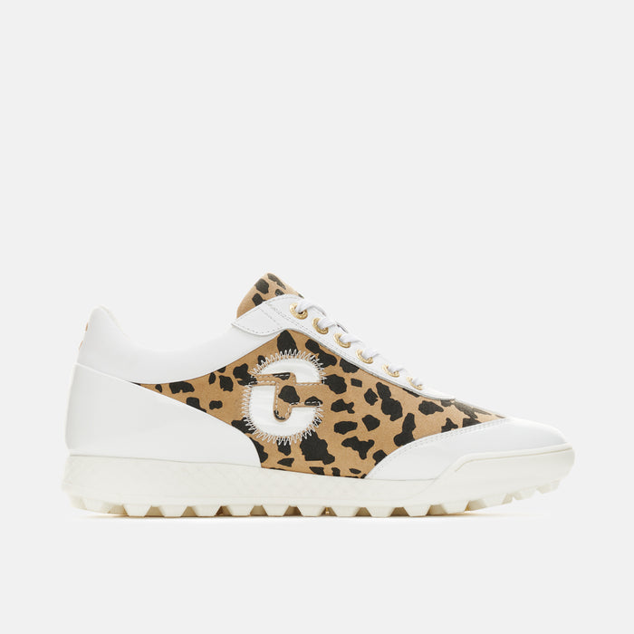 duca del cosma King Cheetah - Lente