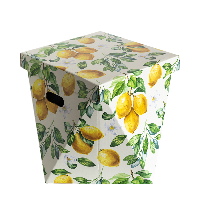 dutch design brand Lemons Basket