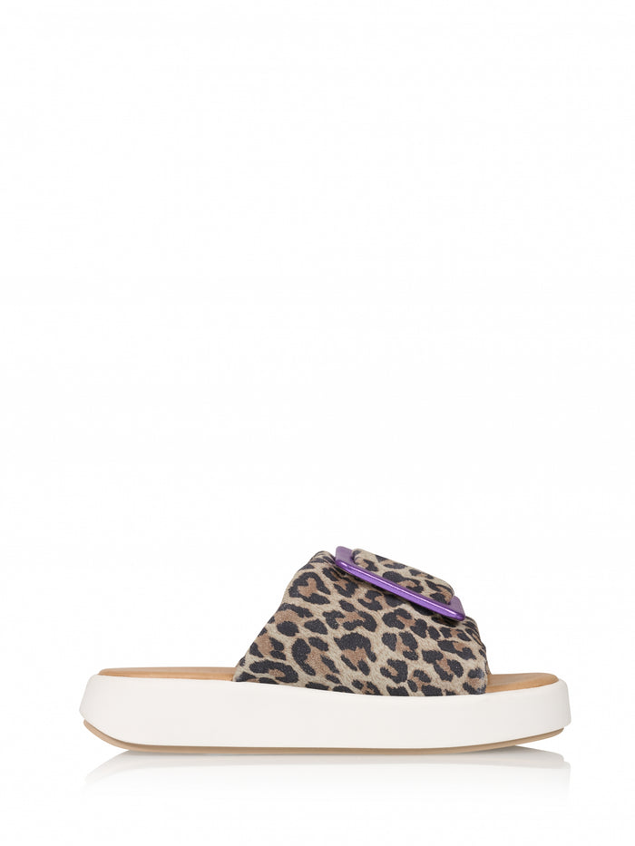 dwrs FOGO leopard - Slippers | Sand / Purple