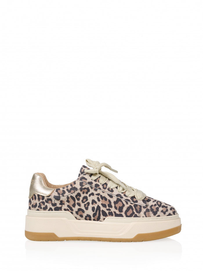 dwrs LOT leopard - Sneakers | Champagne