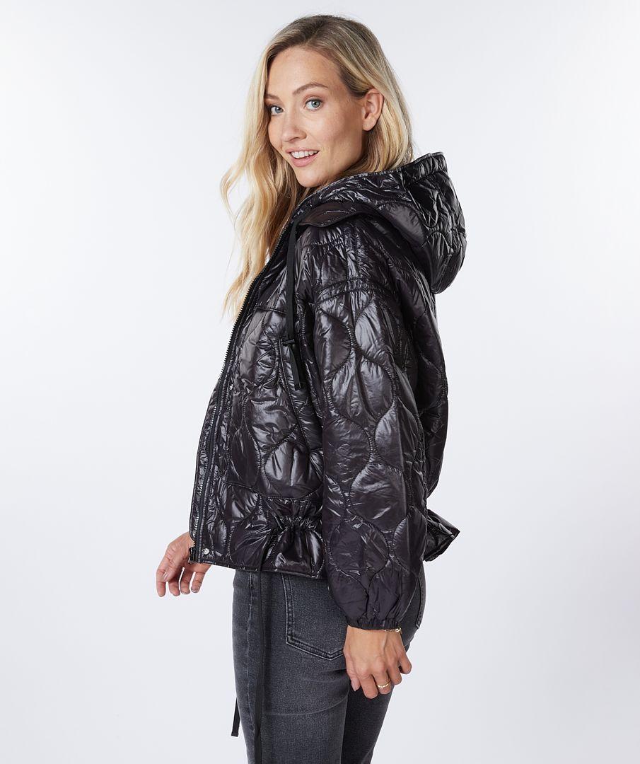esqualo Coat jackets quilted hoodie