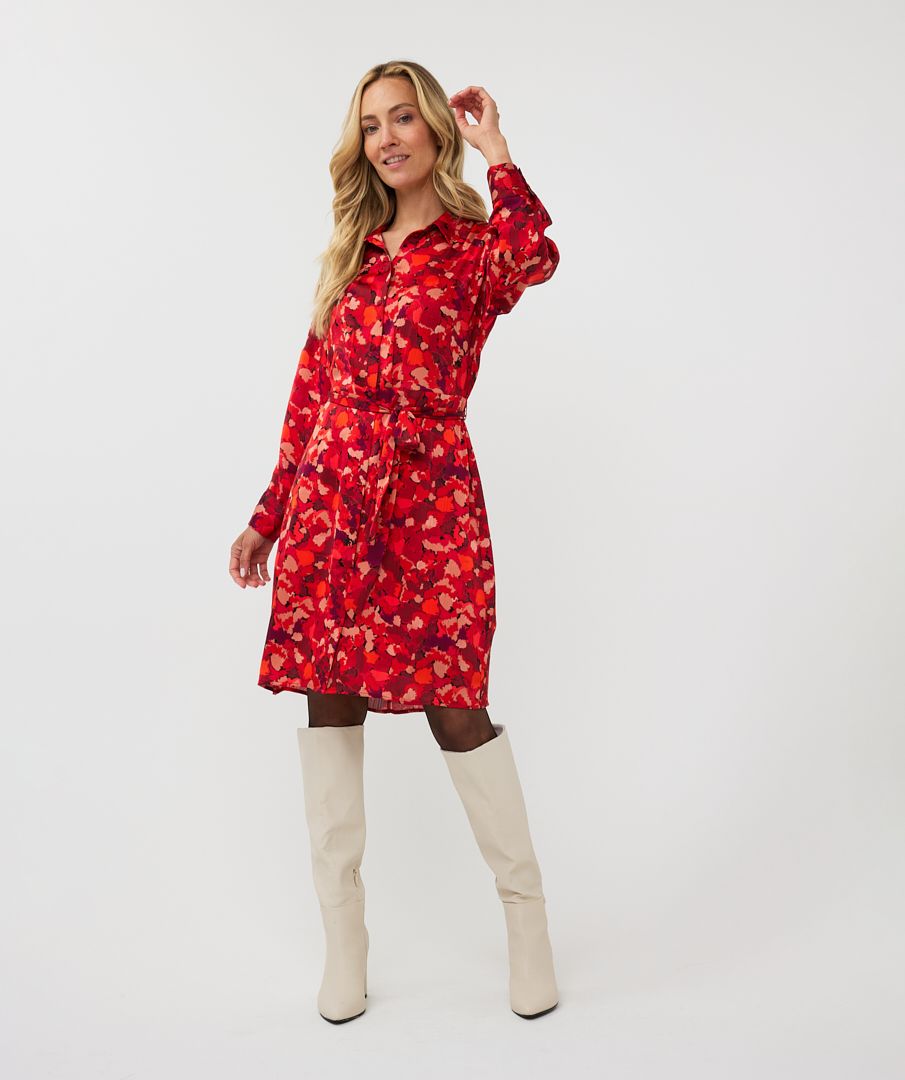 Esqualo Dress Wonders