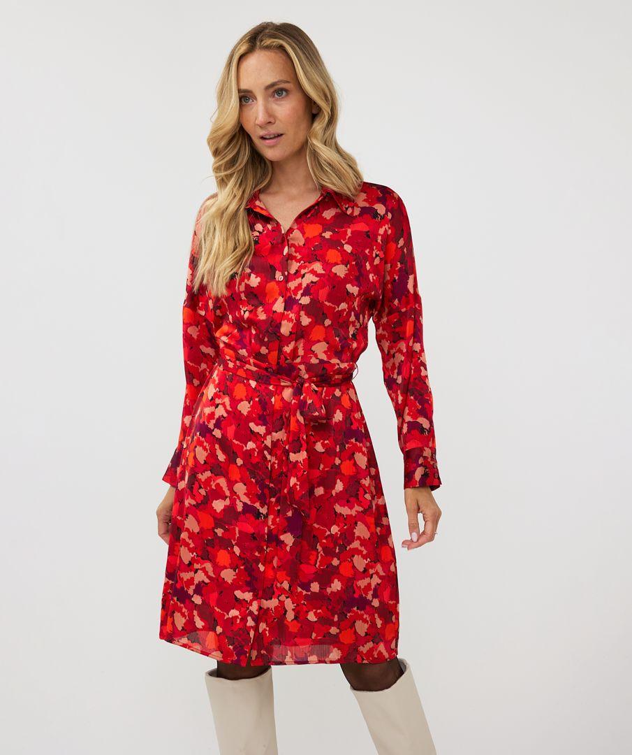 Esqualo Dress Wonders