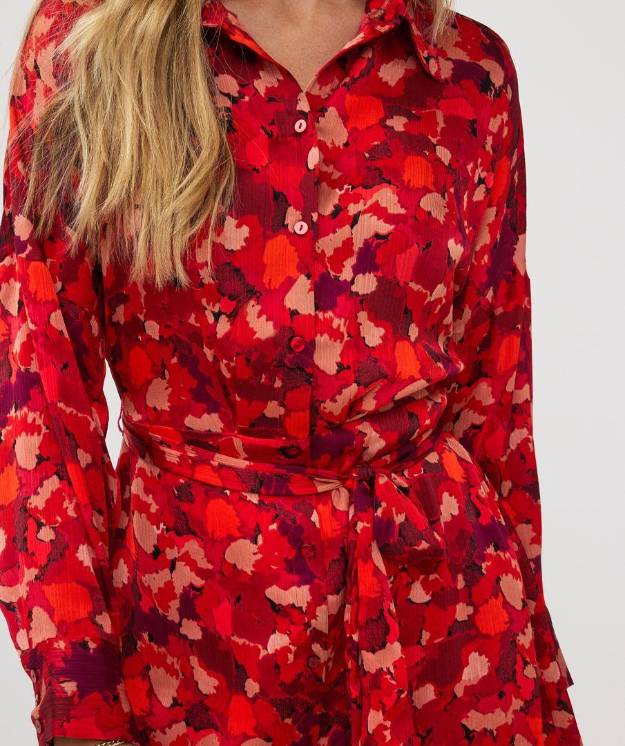 Esqualo Dress Wonders