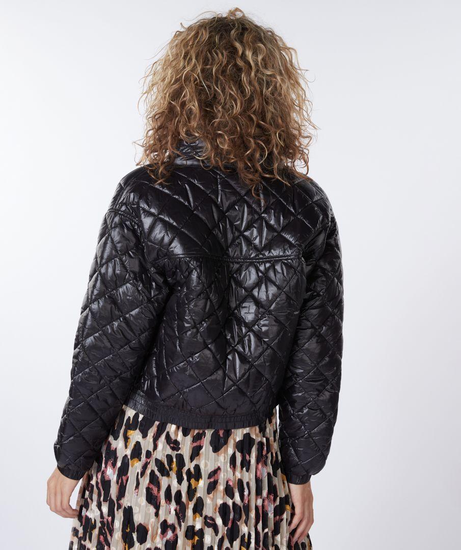 Esqualo Jacket Quilted Cropped