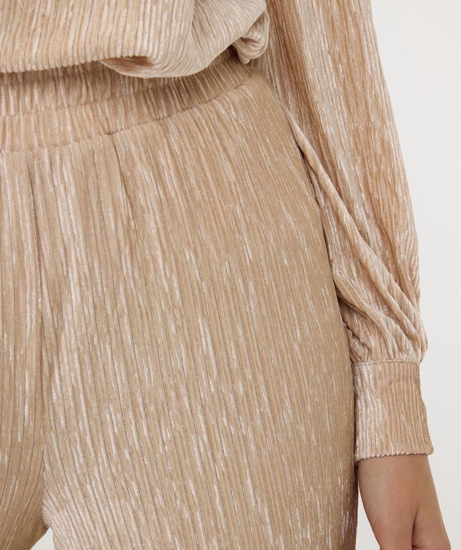 Esqualo Trousers Crinkled Velvet
