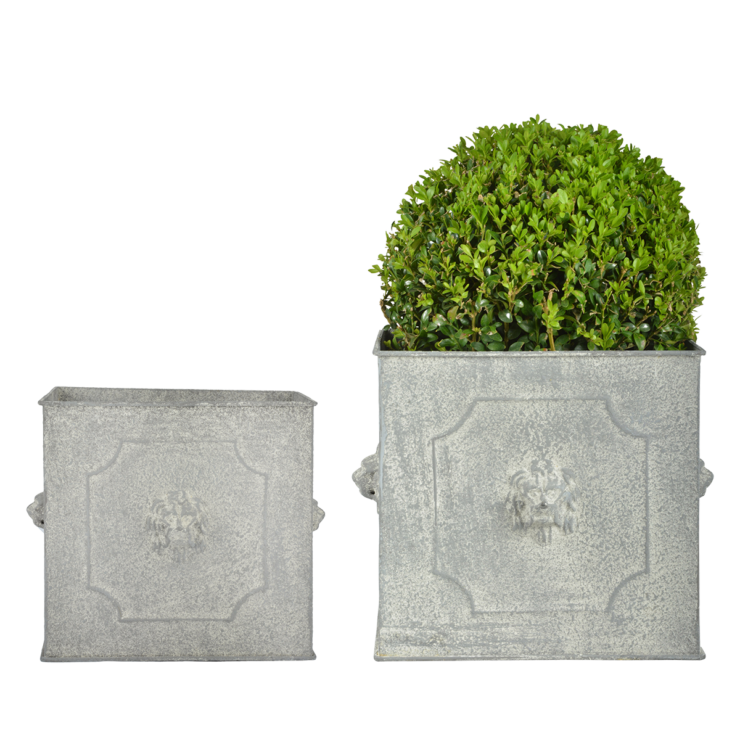 esschert design AM leeuw bloempot vierkant set/2