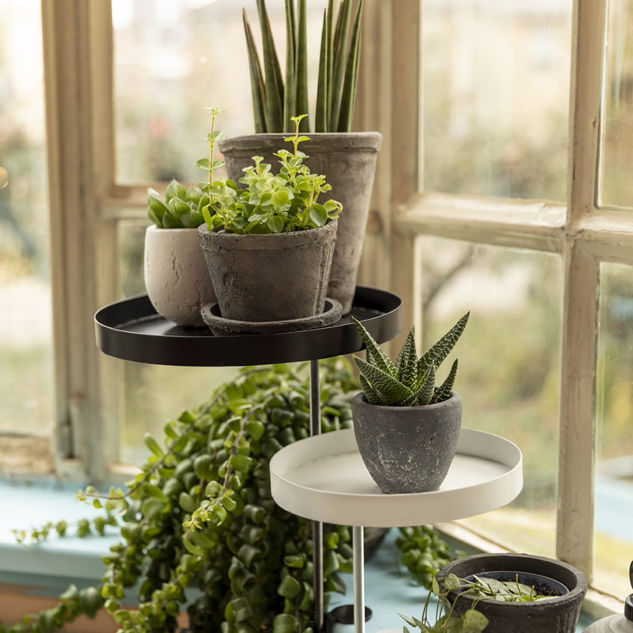 Esschert Design AT Grijs Pot Rond L Set Van 3