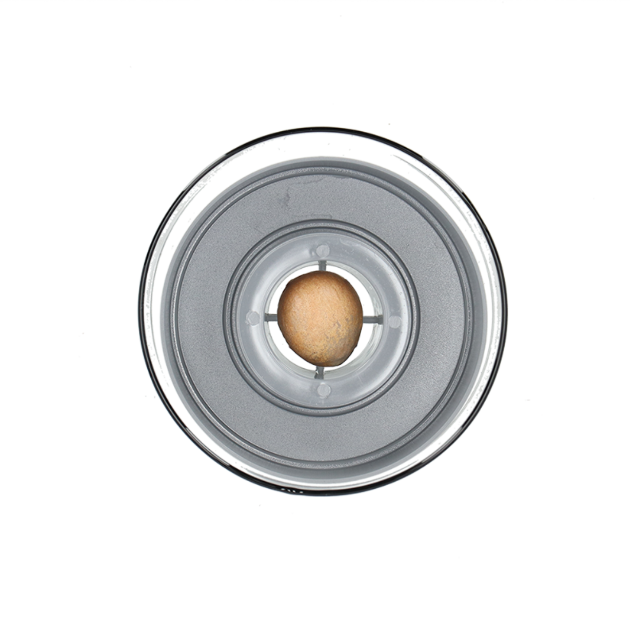 Esschert Design Avocado Kweekset