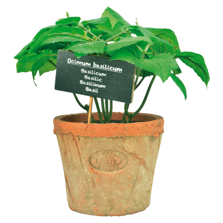 esschert design Basilicum in AT pot L