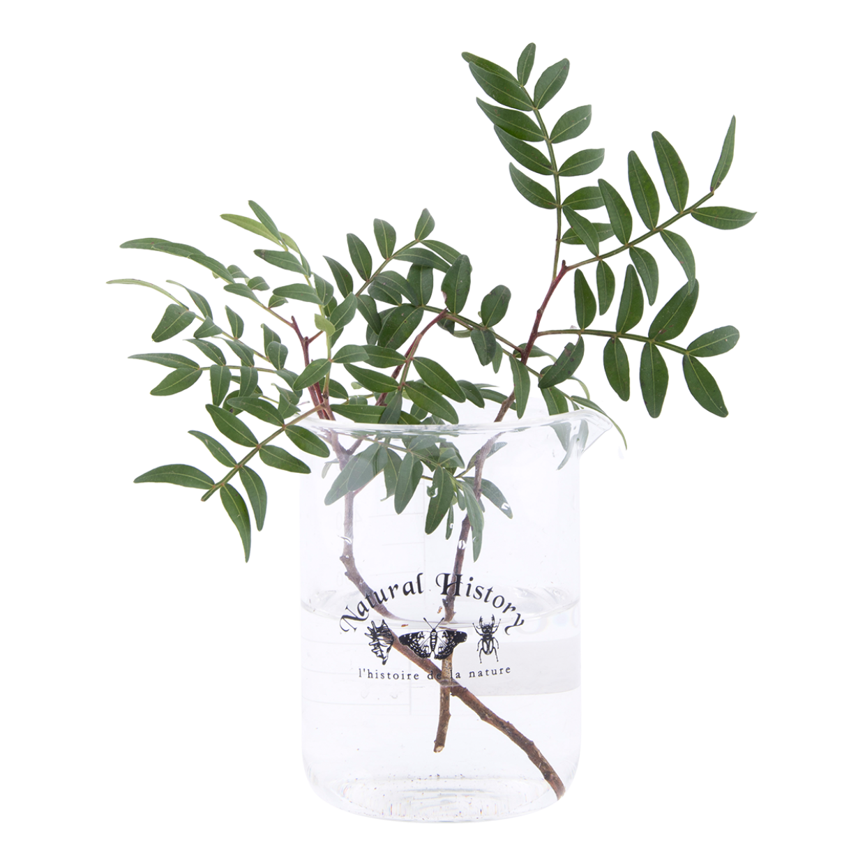 Esschert Design Bekerglas 500 Ml