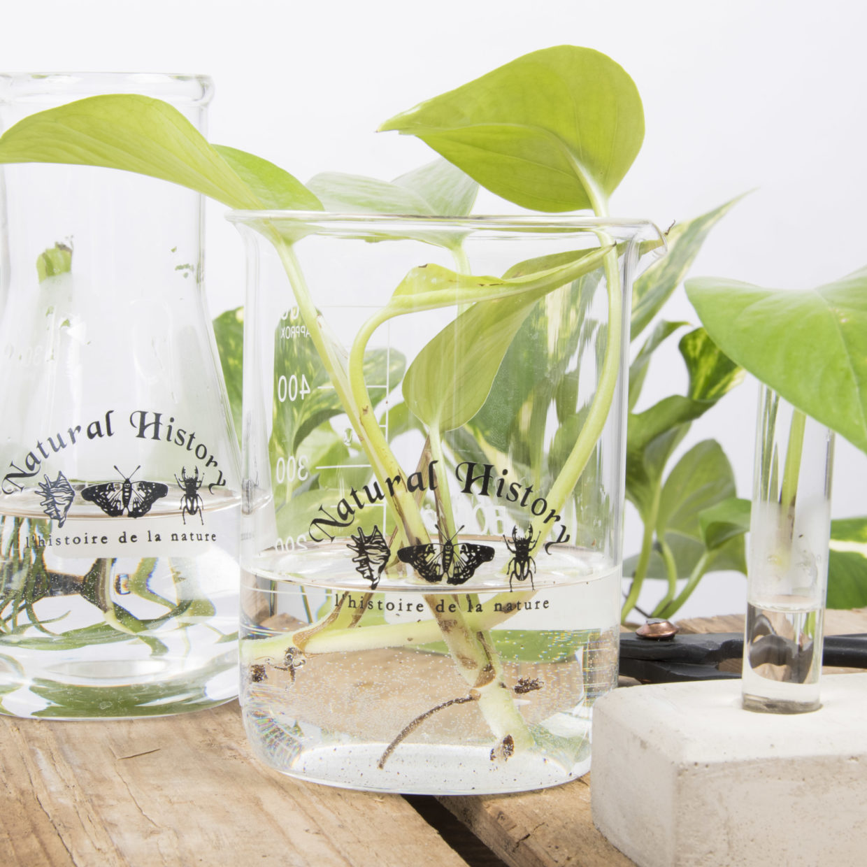 Esschert Design Bekerglas 500 Ml