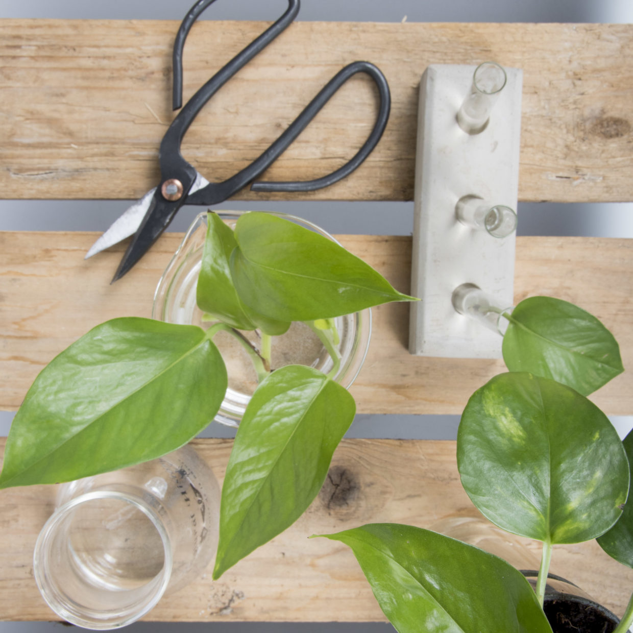 Esschert Design Bekerglas 500 Ml