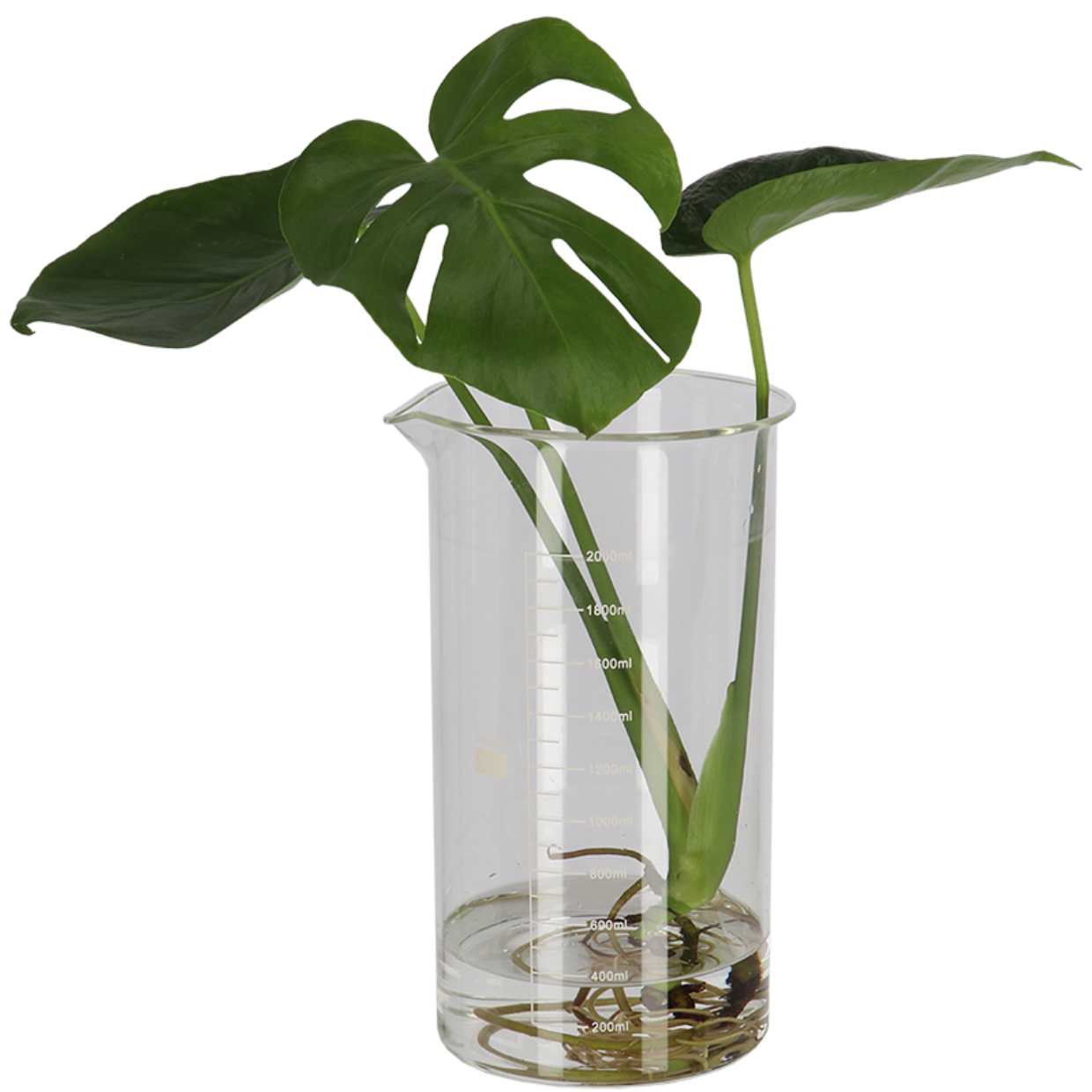 Esschert Design Berzelius Bekerglas L