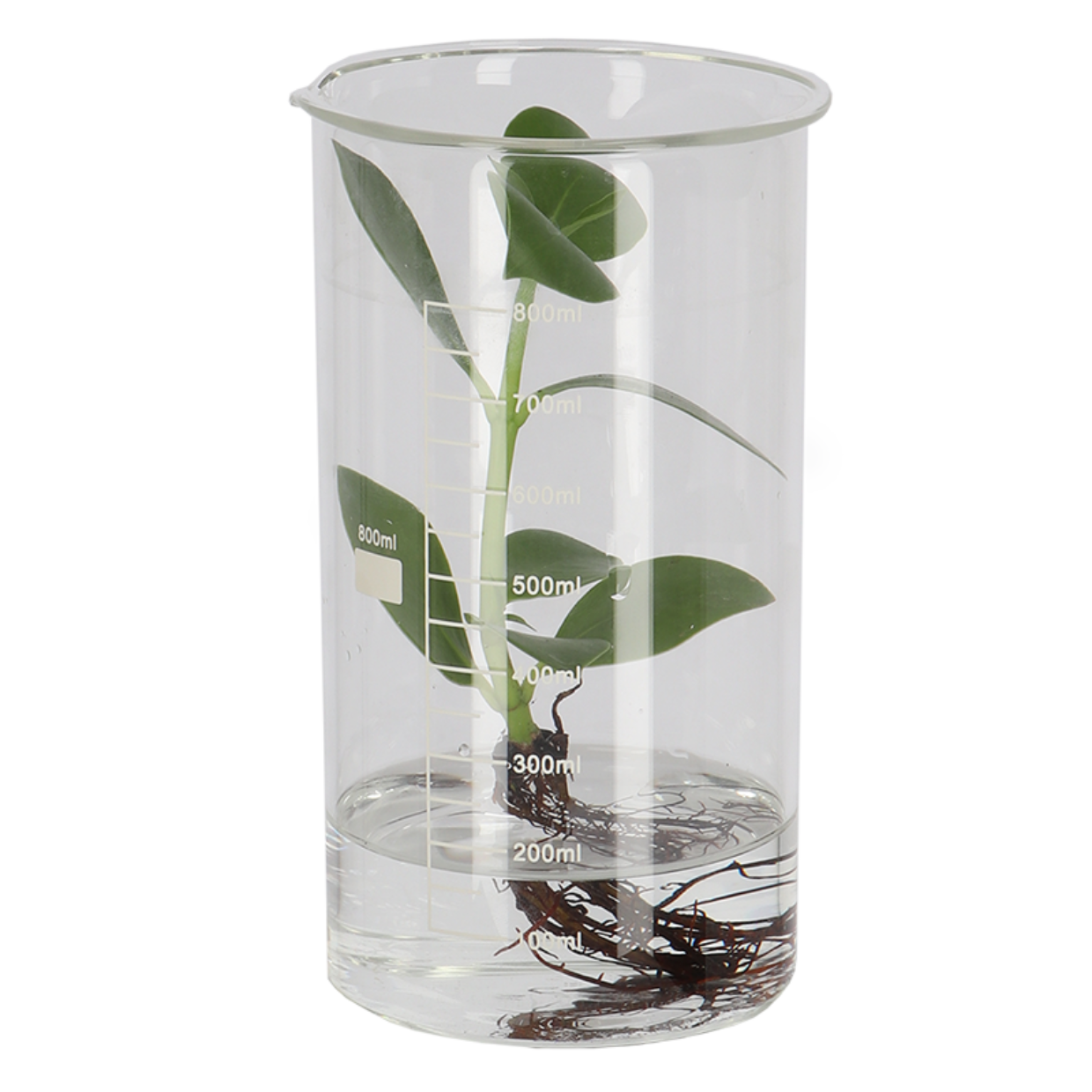 Esschert Design Berzelius Bekerglas S