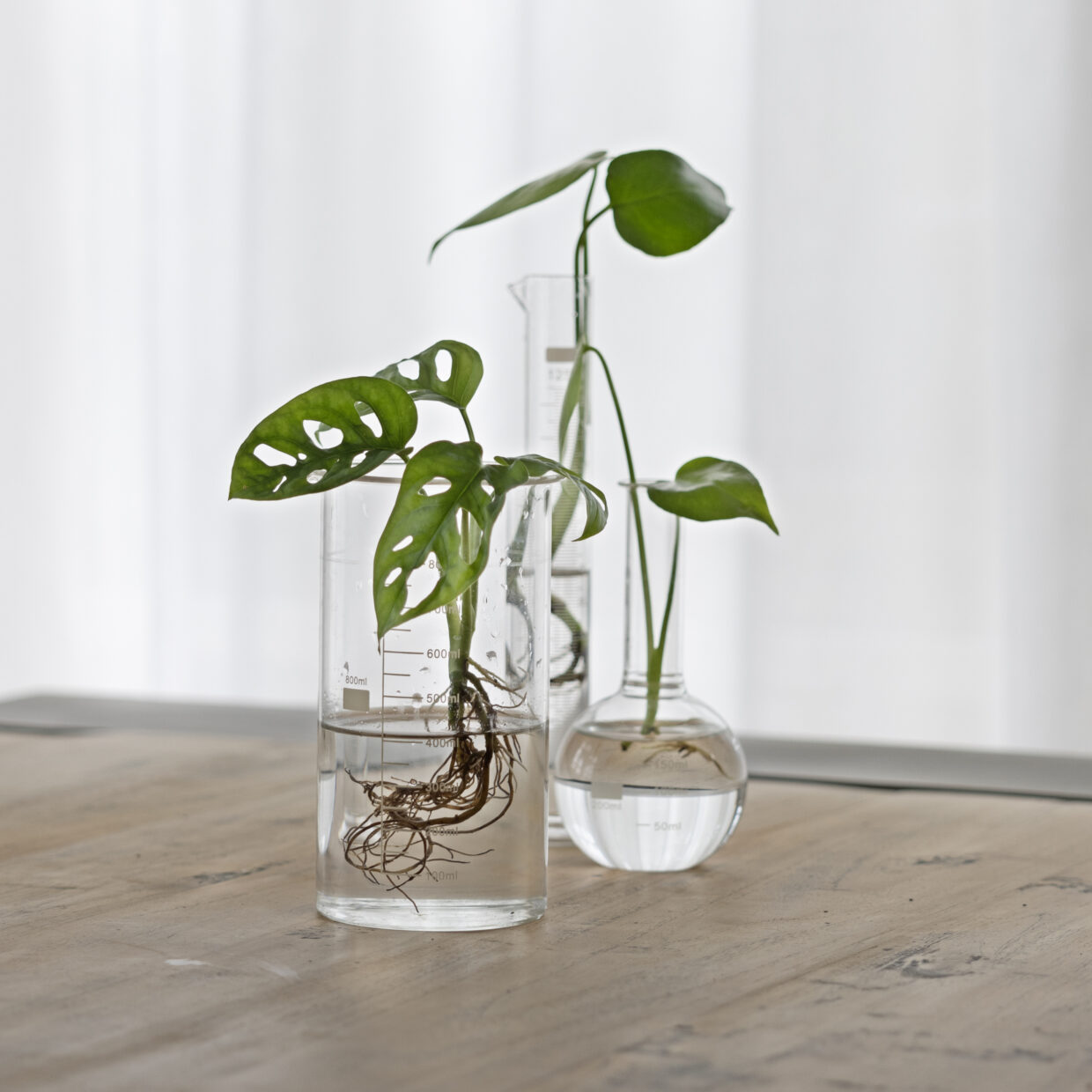 Esschert Design Berzelius Bekerglas S