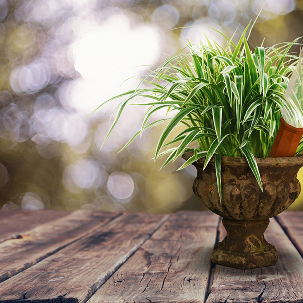 Esschert Design Bewateringstuit Voor Flessen