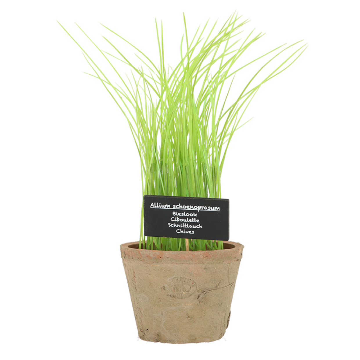 Esschert Design Bieslook In AT Pot L