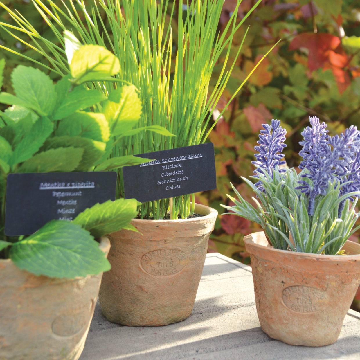 Esschert Design Bieslook In AT Pot L