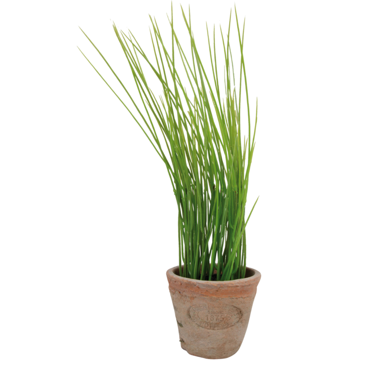 esschert design Bieslook in AT pot S