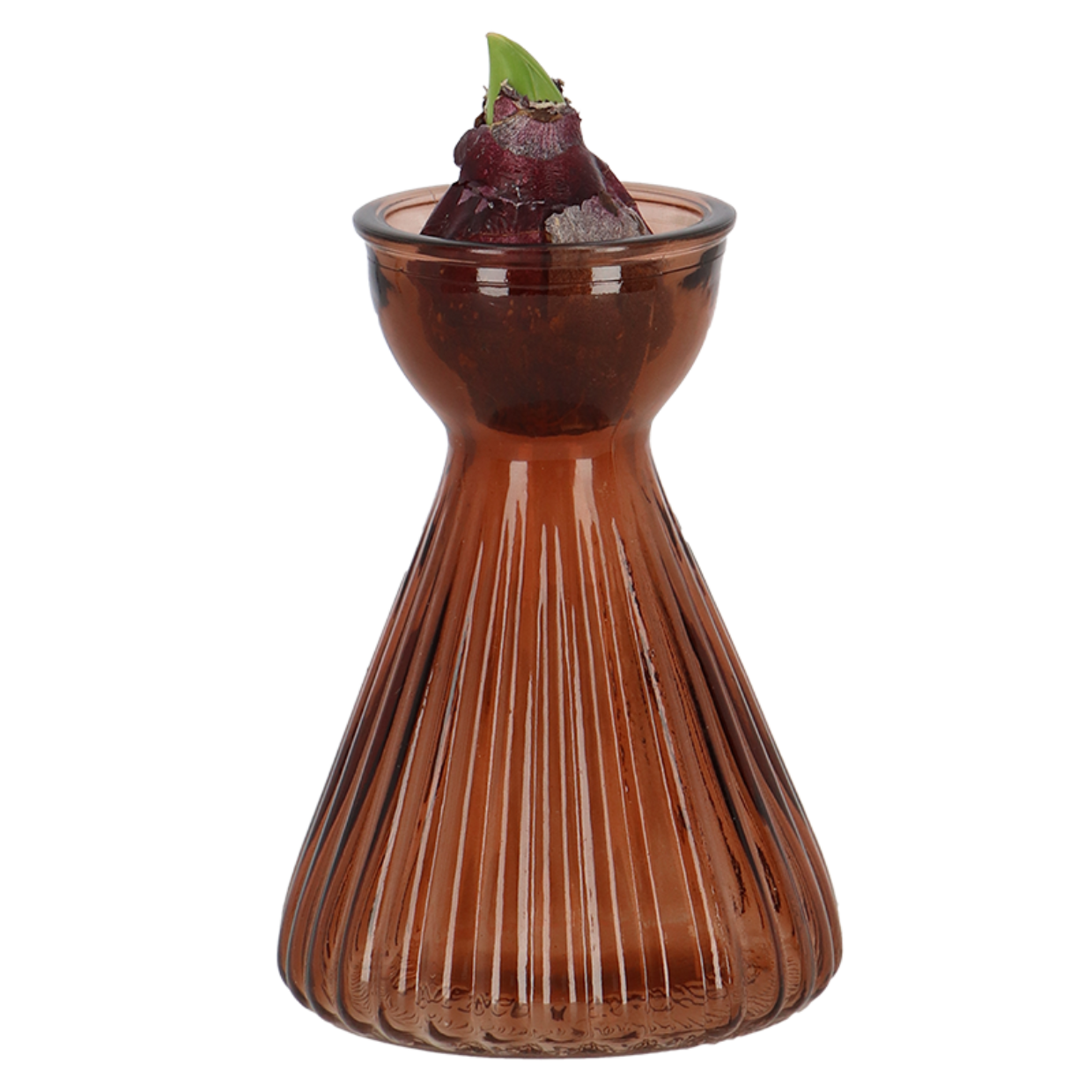 Esschert Design Bollenvaas Geribbeld Hyacint