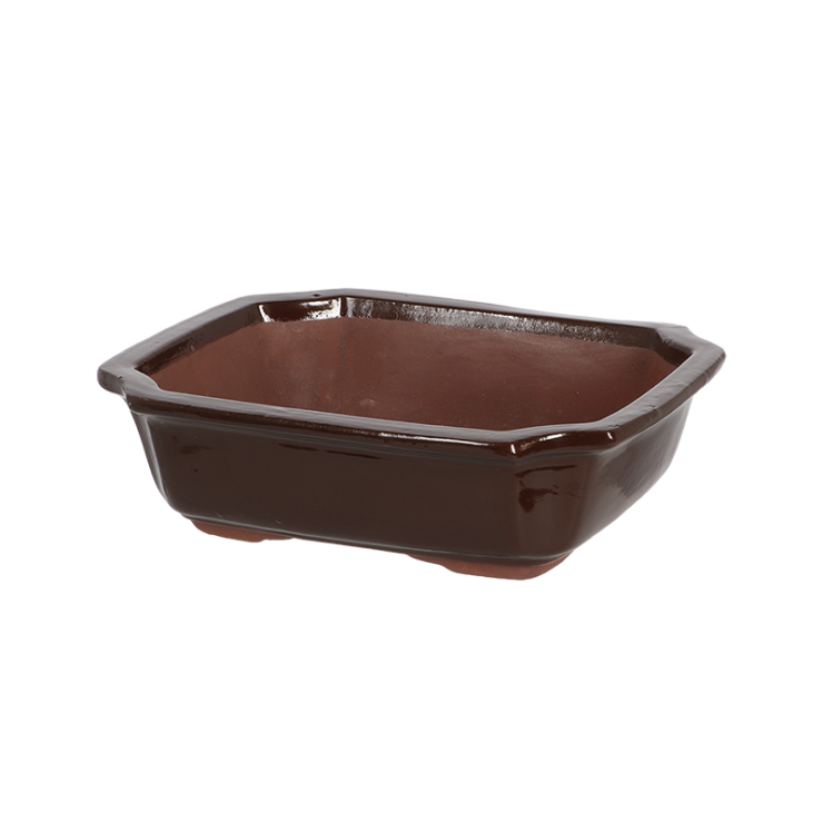 esschert design Bonsai pot rechthoekig M