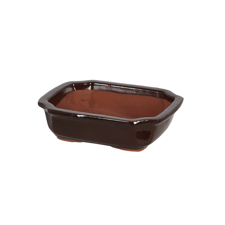 esschert design Bonsai pot rechthoekig S