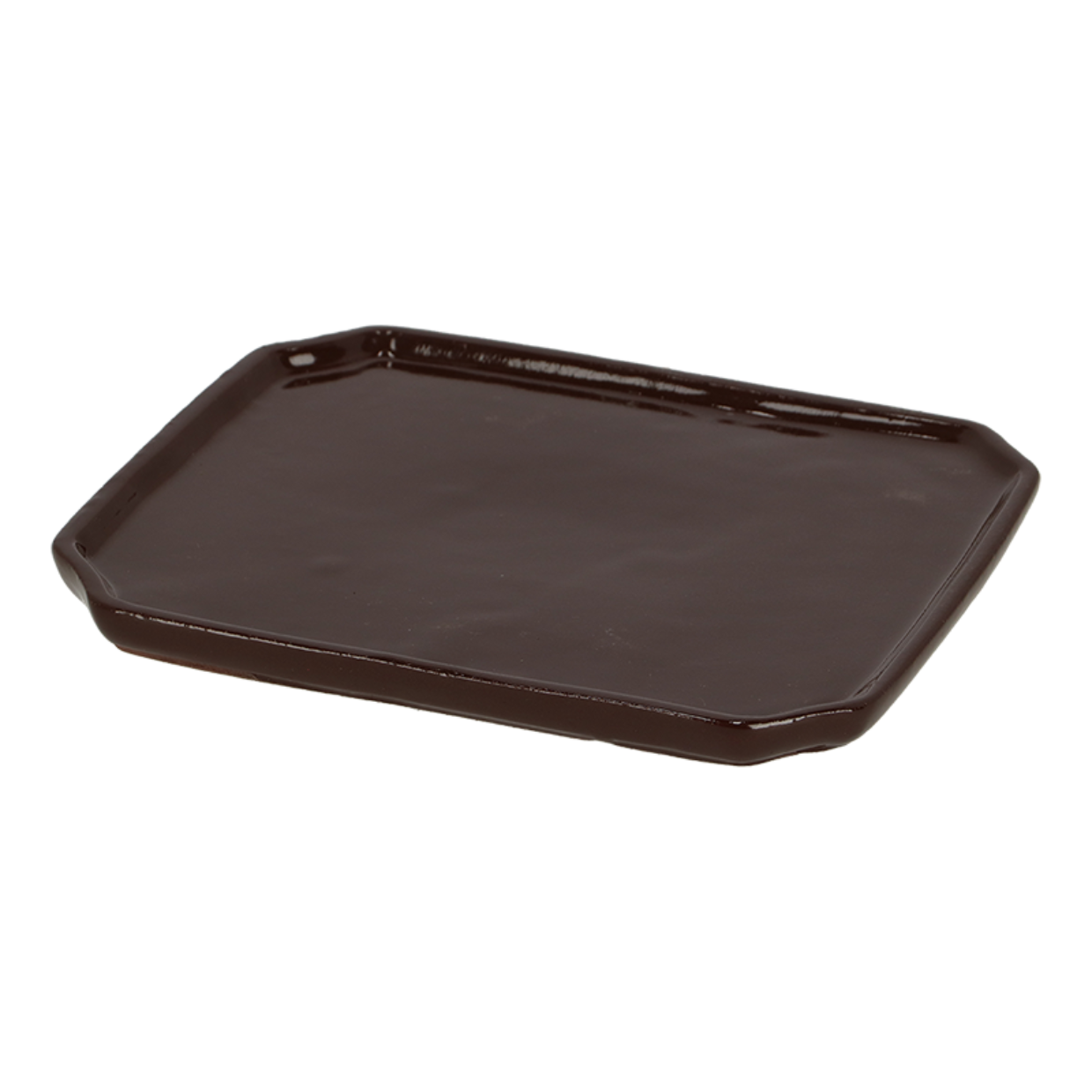 Esschert Design Bonsai Schotel Rechthoekig L