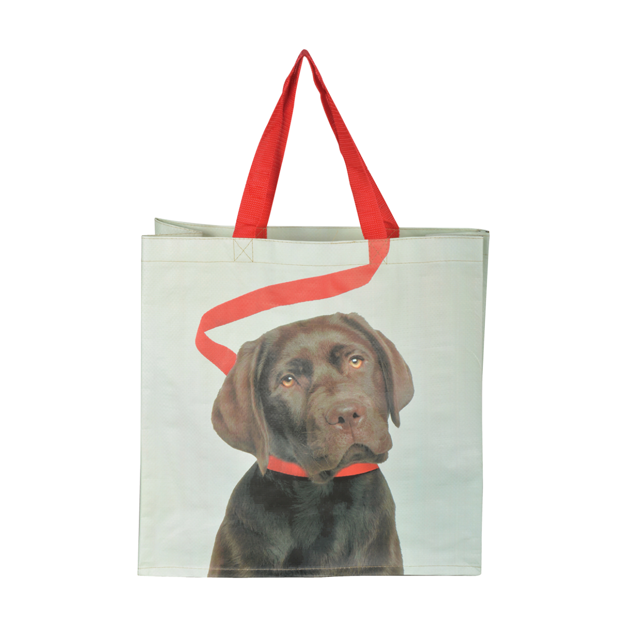 Esschert Design Boodschappentas Hond Aan Riem