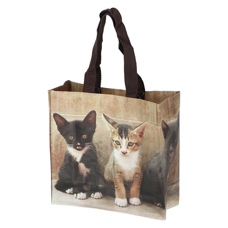 esschert design Boodschappentas kittens S