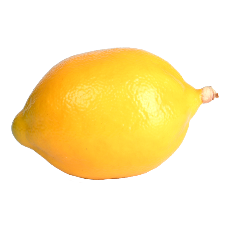 esschert design Citroen