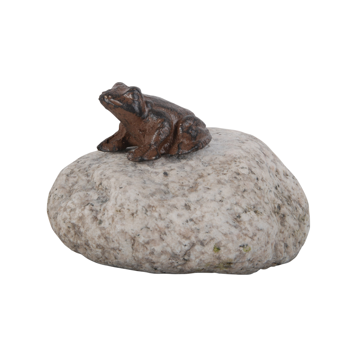 Esschert Design Dier Op Steen