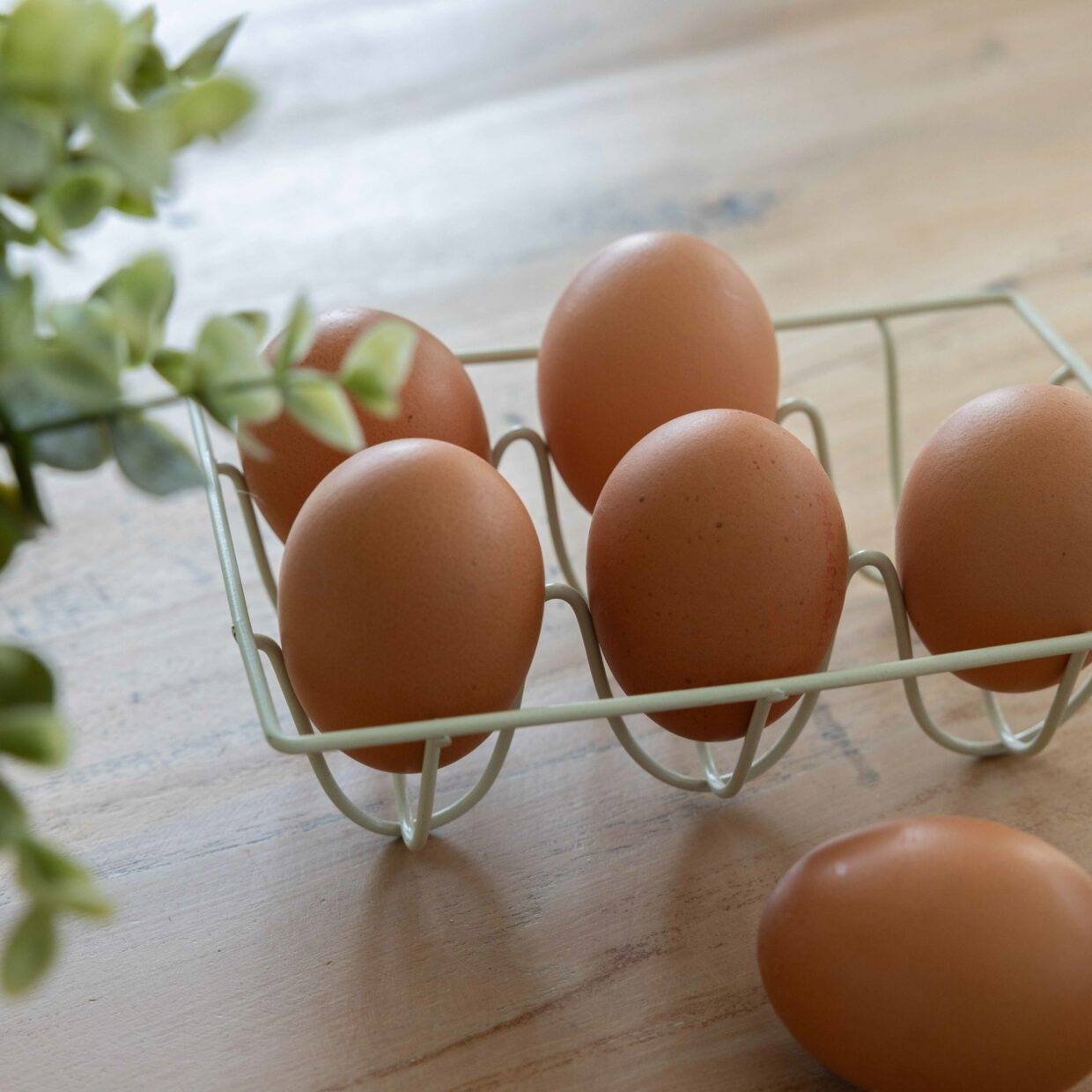 Esschert Design Eiertray Metaal